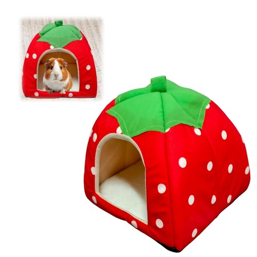 Rabbit bed guinea pig - guinea, and
