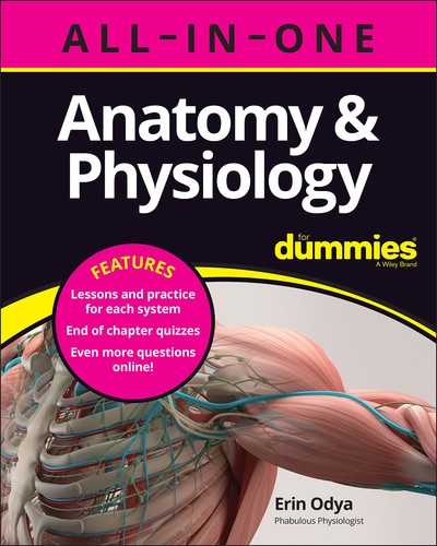 Anatomy physiology - anatomy,
