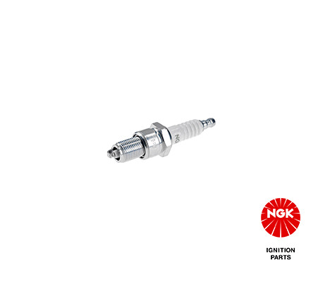 Spark plug for - plug,