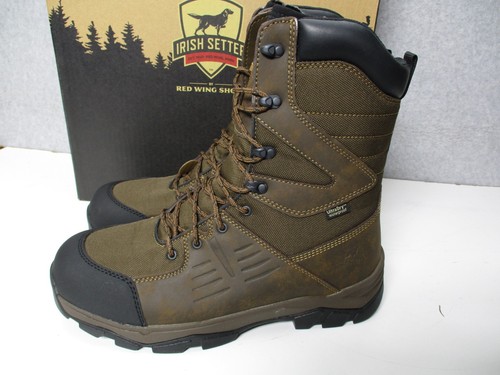 Irish setter terrain - setter,