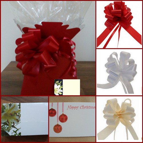 Living vase flower box - vase,
