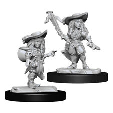 Female Gnome Bard Pathfinder Deep Cuts Player Character RPG Miniatures