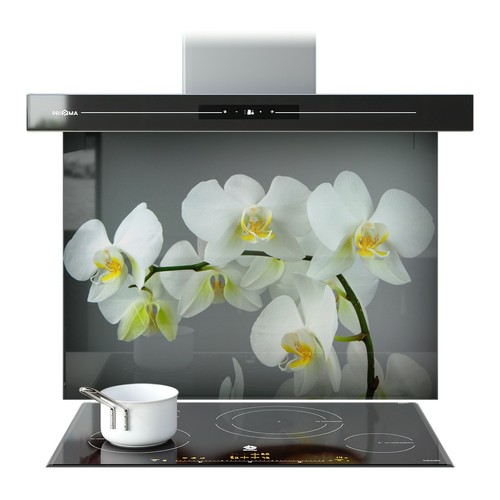 Kitchen glass splashback - kitchen,