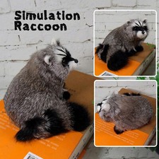 Realistic Raccoon Lifelike