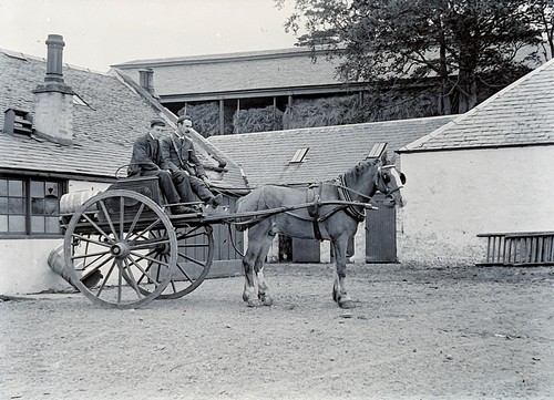 Largs mains skelmorie horse - largs., skelmorie.