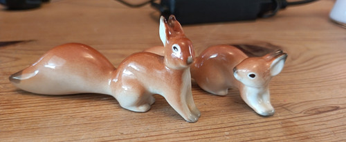 Rare pair ussr lomonosov - pair,