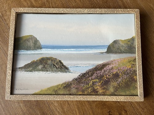 20th century gouache - , devon