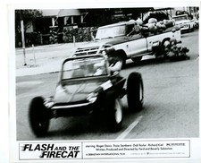 Flash and the Firecat 8x10