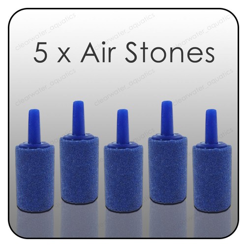 Aquarium airstones fish - aquarium,