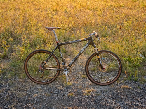 Superlight carbon hardtail - hardtail, —