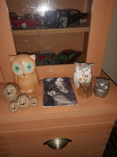 Owl bundle money - money, box,trinket