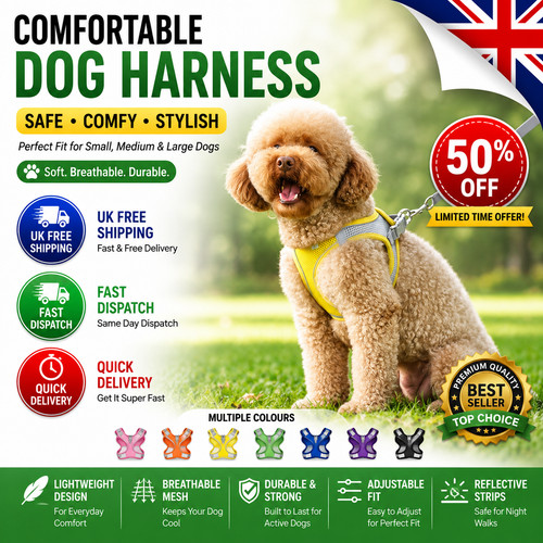 Dog harness and leash set - dog,