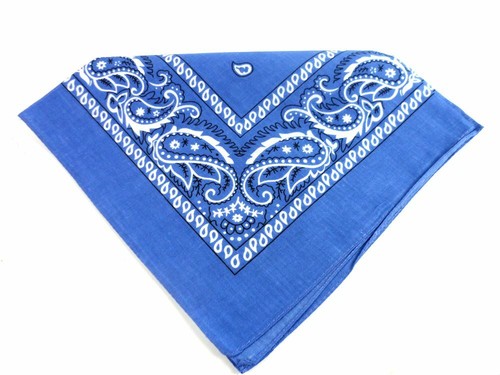 Paisley pattern bandana - paisley, head