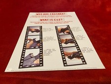 PGUN2 GUN ADVERT 11X8 CROSSMAN CO2 POWERED RIFLES.