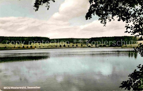 Seck lake pond - seck,