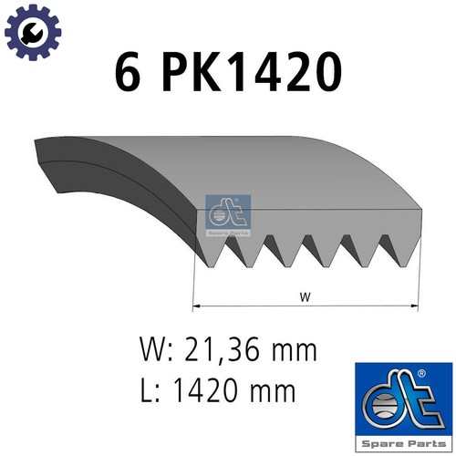 Vribbed belt 31516 - belt, for