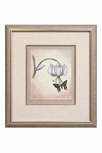 Kinder harris framed - kinder,