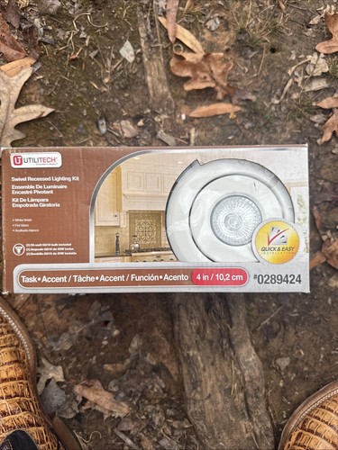 Globe electric dimmable - 4",