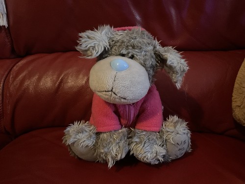 Tatty teddy puppy - teddy,