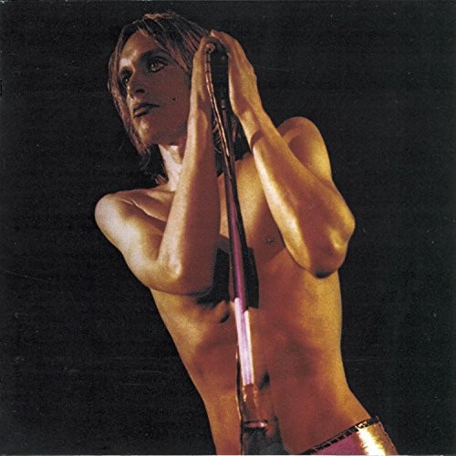 Iggy and the stooges - the, raw