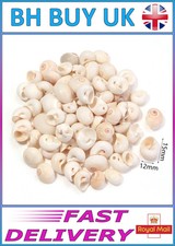 40g aquarium snail shells - 40g,