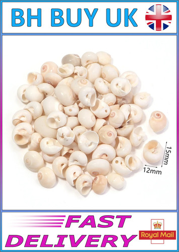 40g aquarium snail shells - 40g,