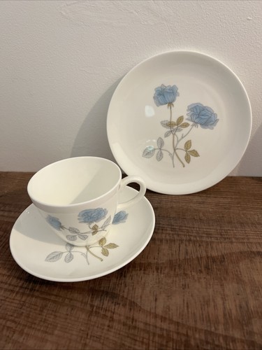 Wedgwood bone china ice - wedgwood,