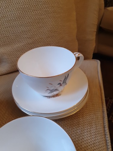 Royal staffordshire cup and - royal,