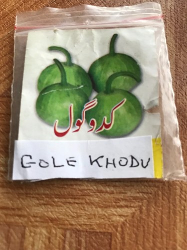 Pakistani round kodu gourd - -round,