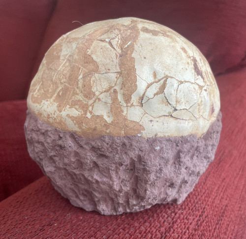 Hadrosaur egg canada - hadrosaur,