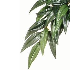 Exo Terra Silk Rucus Reptile Vivarium Plants