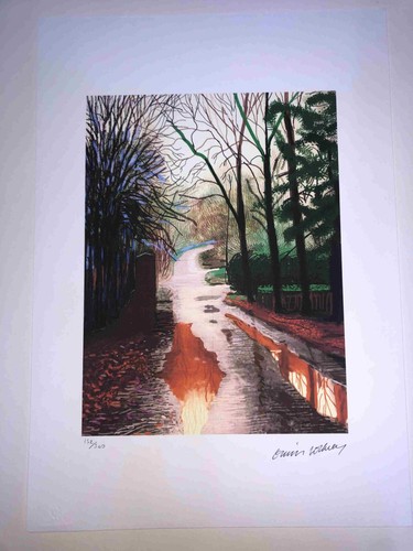 David hockney lithography off - david,