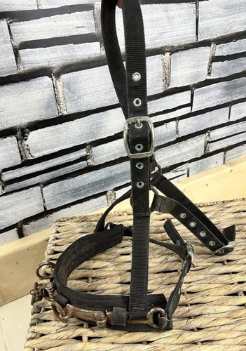 Cob size eclipse webbing lunge - eclipse,