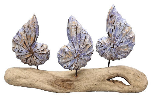 Shell carving on driftwood - shell,