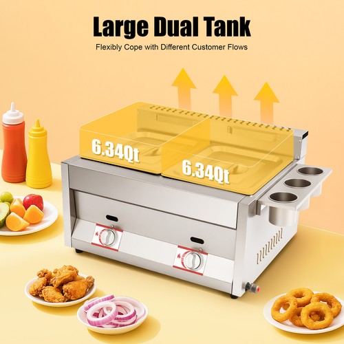 Commercial lpg gas fryer - 2x,
