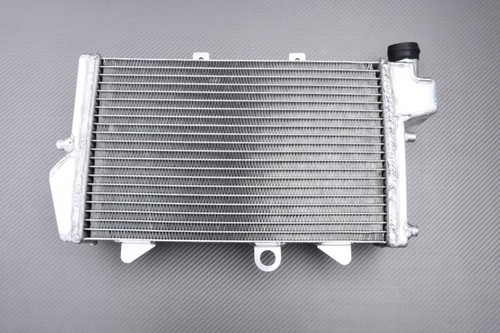 Racing type water - racing, radiator