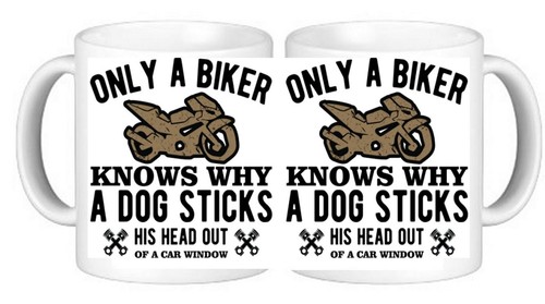 Biker bike humour - biker,