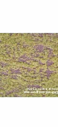 Tms painted soil grass - soil, &