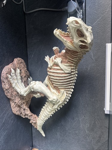 Design toscano bad the bone - toscano,