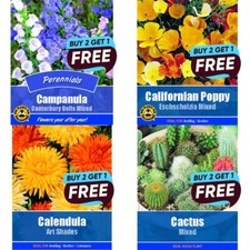 Flower Seeds UK Grow Your Own Outdoor Plants Borders | Over 73 varieties