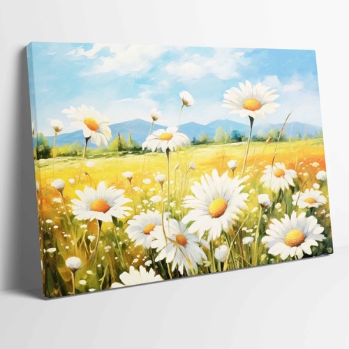 Stunning daisy flower fields - stunning,