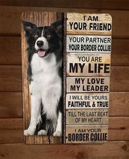 I am your Border Collie Friend