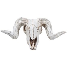  Resin Sheep Head Skull Head Wall Hanging 3D Animal  Sculpture Figurines1877