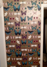 Next Butterflies Wallpaper