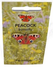 Enamelled Peacock Butterfly