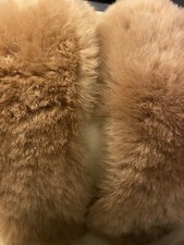 1 Pair Sheepskin insoles For