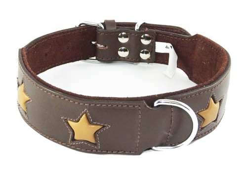 Brown staffie dog collar with - dog,