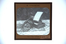 Cat Playing Piano & Reading