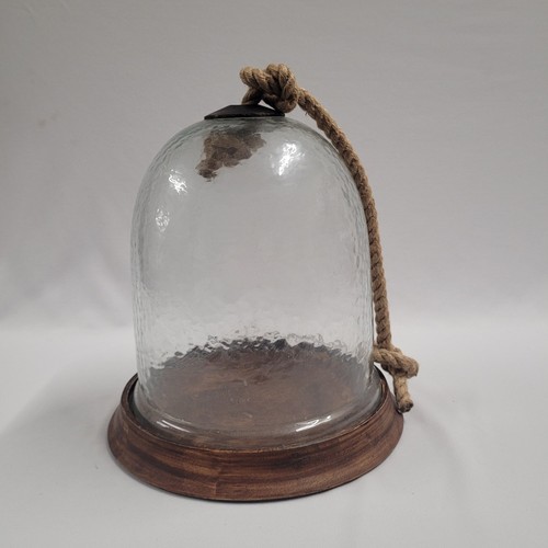 Glass dome bell jar - jar, display