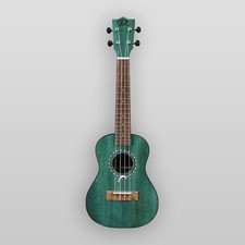 Puka Model PK-DPT Dolphin